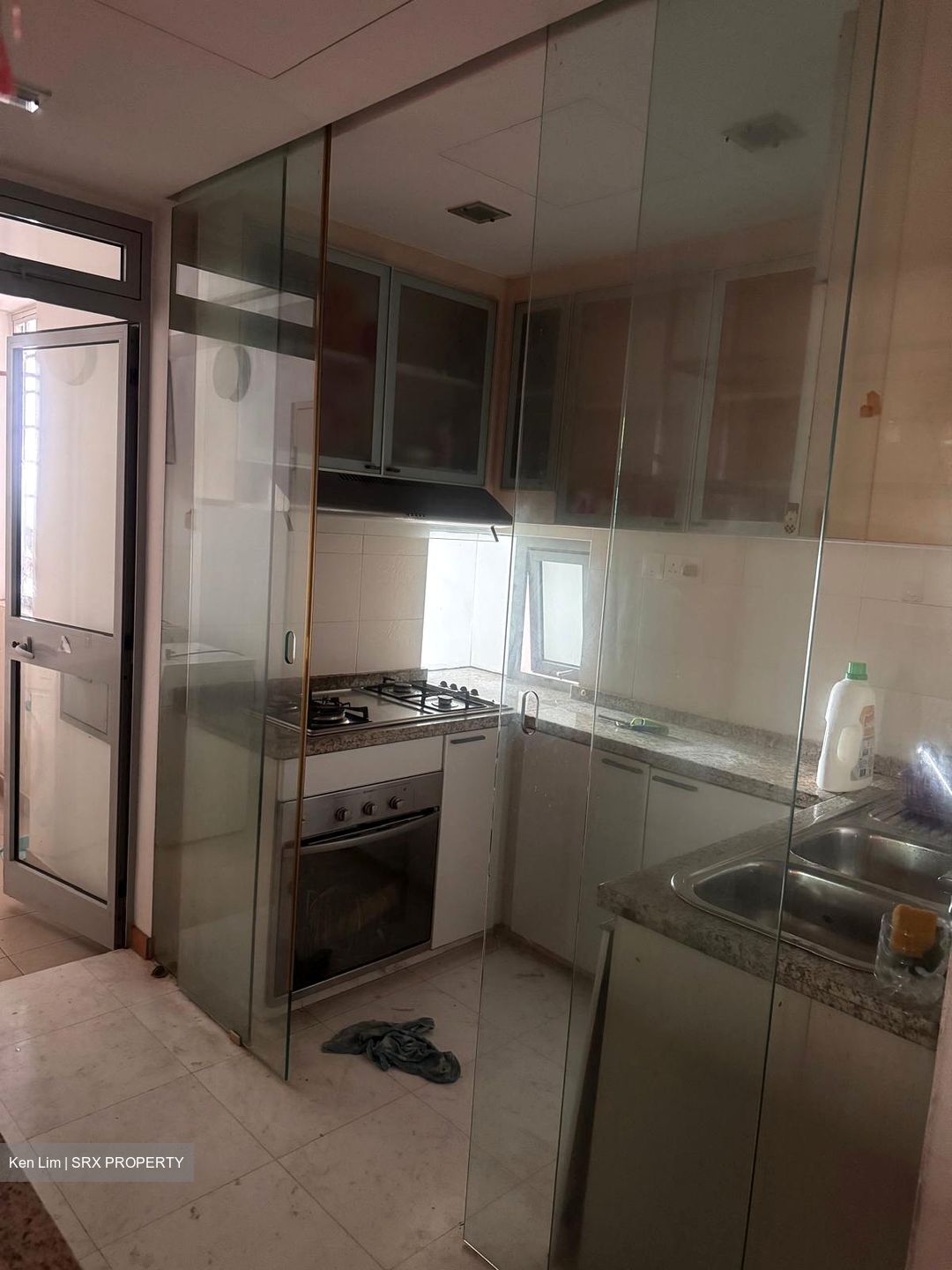 Hillview Regency (D23), Condominium #562541541